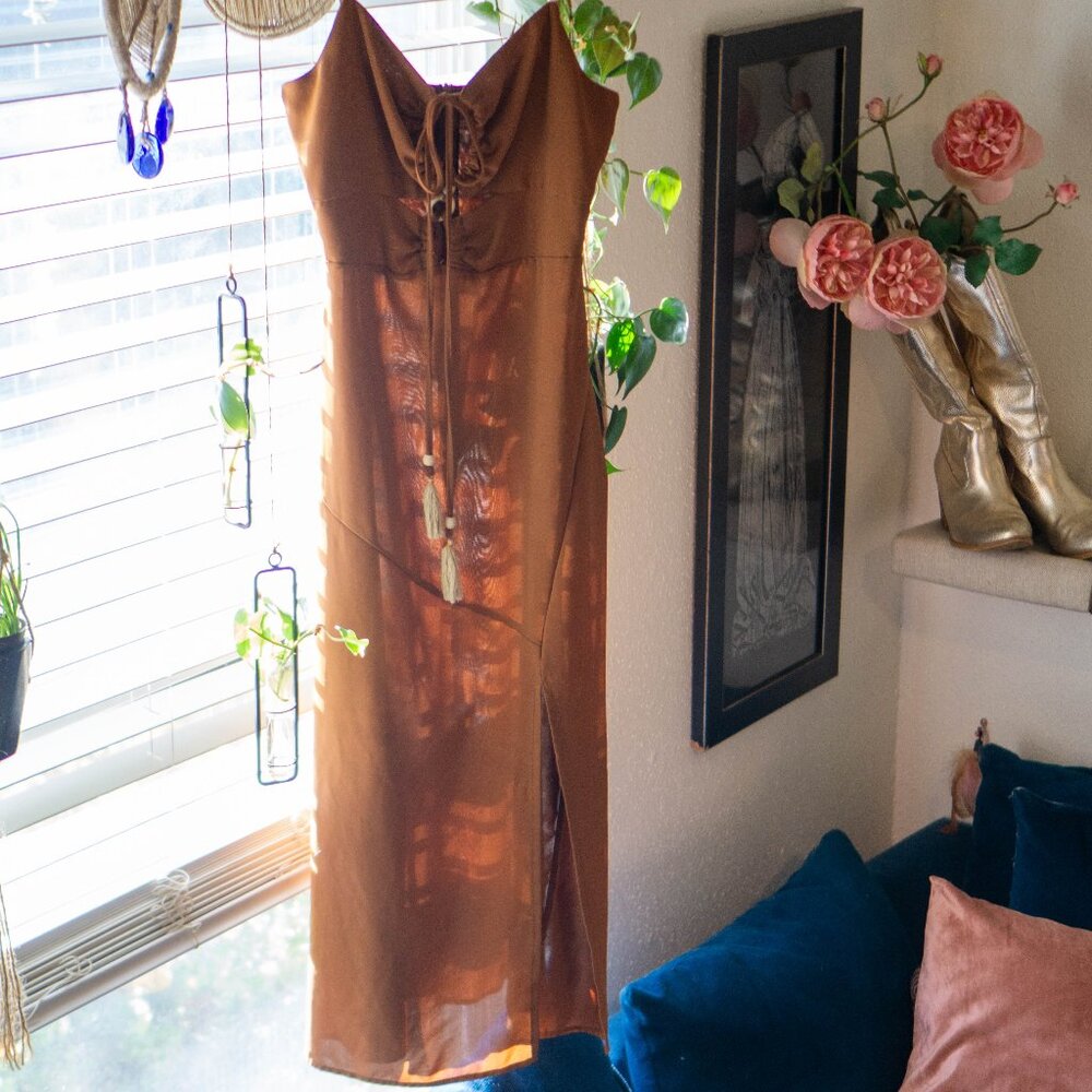 Brown Dress